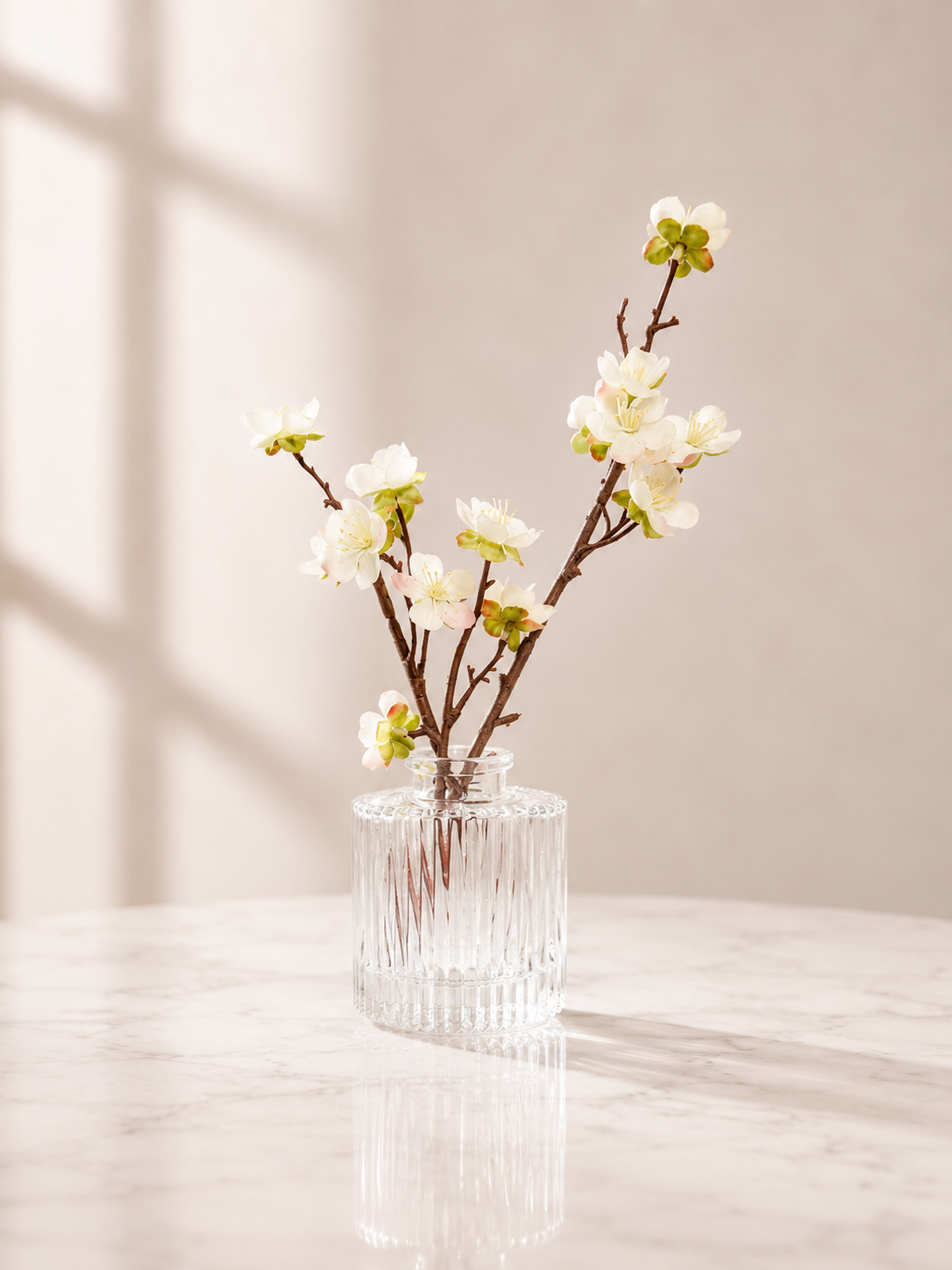White Cherry Blossom