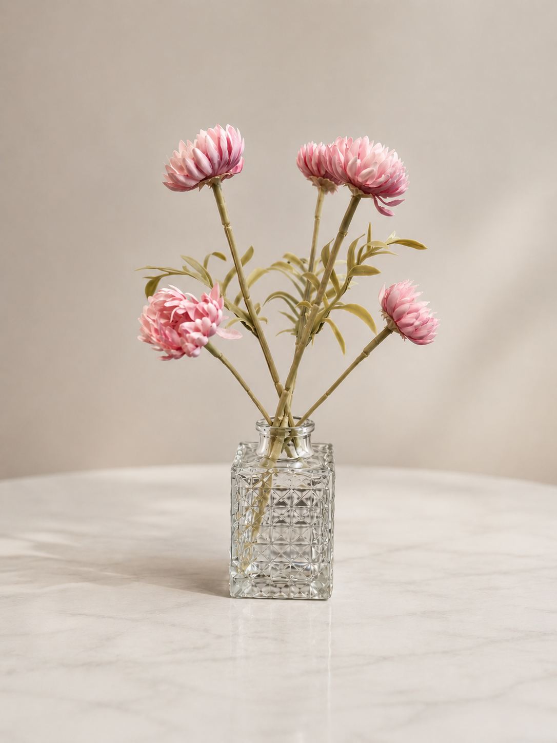 Pink Wild Daisy
