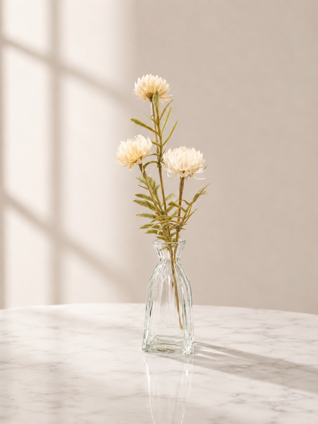 White Wild Daisy