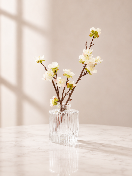 White Cherry Blossom