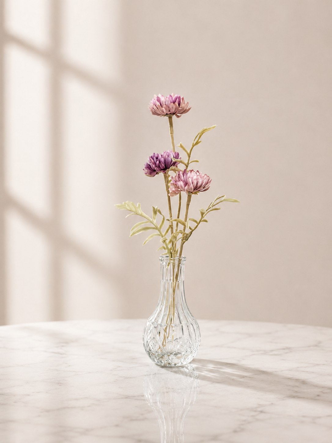 Purple Wild Daisy